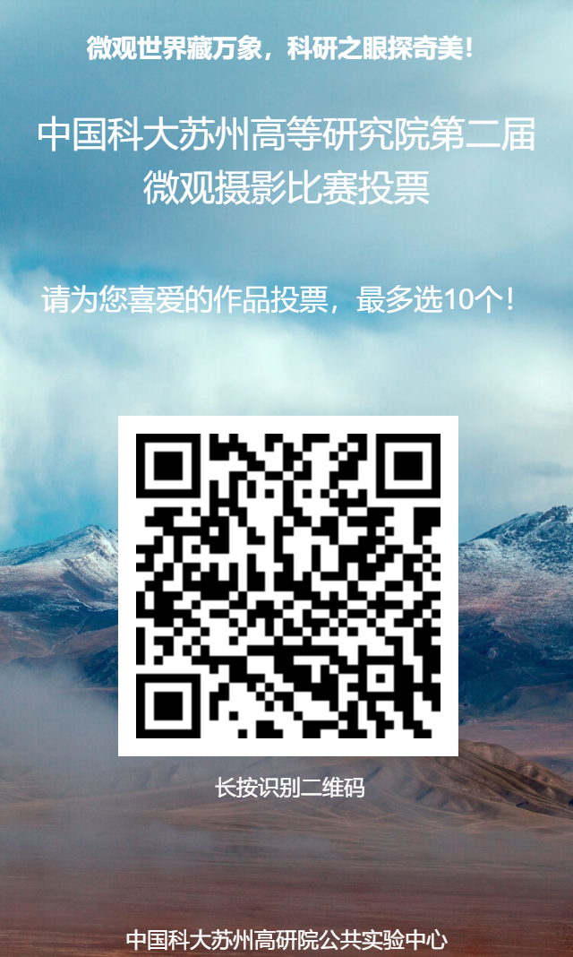 问卷星二维码海报 (1).png